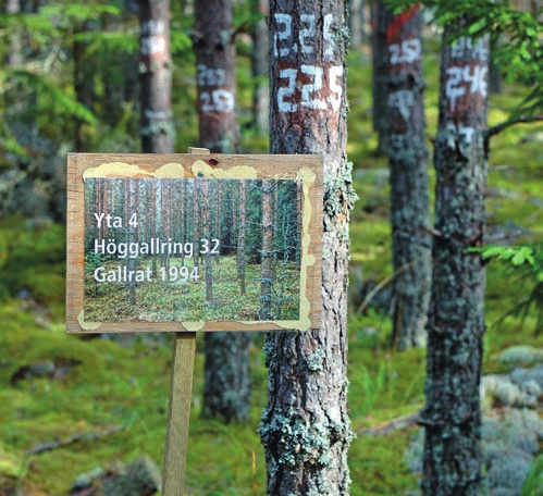 REDOGÖRELSE FRÅN SKOGFORSK NR.