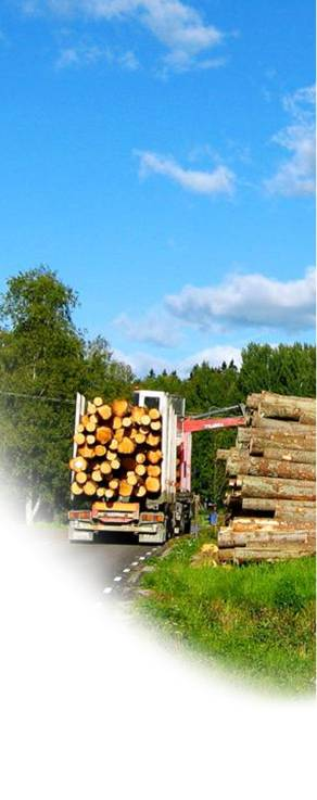 Skogsbranschens transporter Skogsbranschens transporter rullar dygnet runt mellan skog och industri.