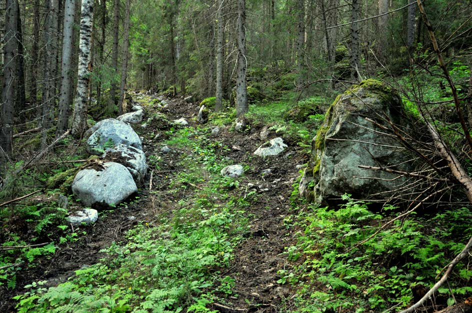 Inventerare: Sofia Lundell och Jenny Olsson Datum: 2010-10-02 Allmän beskrivning Den skyddsvärda skogen är en bitvis fuktig granskog med ett rikt inslag av lövträd i ravinmiljö.