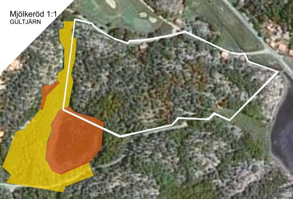 BILAGA II KARTA Bedömning av naturvärden för Gultjärnsområdet, Mjölkeröd 1:1 i Sannäs. Det med vit linje inramade området utgör den del som planlagts för byggnation av enfamiljshus.
