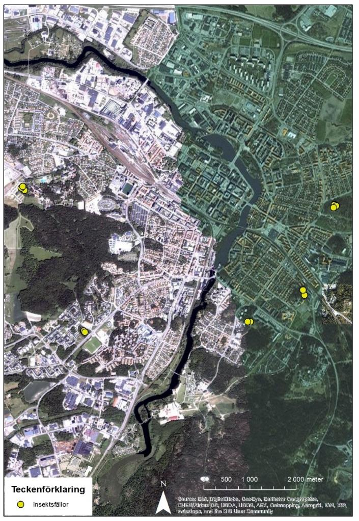 Sammanfattning Under sommaren 2016 genomfördes en insektsinventering i fem naturområden i Eskilstuna stad. Råbergsparken, Skogsängen och Tunaforsskolan är alla talldominerade lokaler.