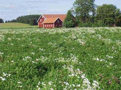 Inledning Ett samarbetsprojekt kring ekologisk vallfröodling har genomförts under 2002 och 2003.