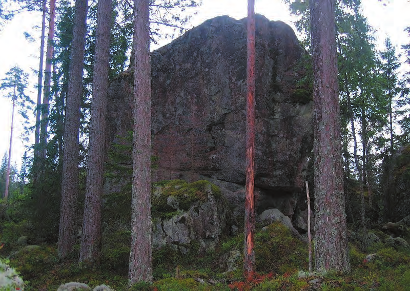 Figur 1. Skogar med höga naturvärden och deras fördelning på skogstyper. Det fi nns 16,8 % nyckelbiotoper och naturvärdeslokaler i ekopark Färna.