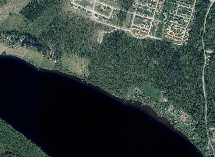 1 Inledning Under våren 2014 har Skellefteå kommun beslutat att revidera planförslag för Västra Falkträskområdet, med utökat antal tomter.