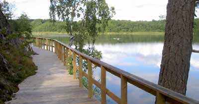nära till storstadsnatur Inom Botkyrka kommun finns riktigt stora områden med natur, vatten och kulturmiljöer.