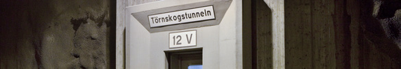 Klar att arbeta? Utrustning för din personliga säkerhet Arbetsspecifik skyddsutrustning. Hjälm och skyddsskor. Varselkläder EN 471 Klass III. Påslagen mobiltelefon. Denna säkerhetshandbok.
