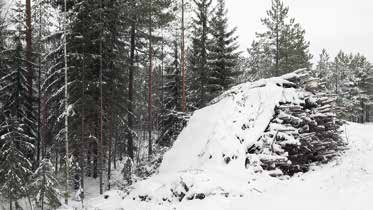 5 är nu förhållandevis stor och gör att utvecklingen antagligen också framöver går mot mera barrmassa.