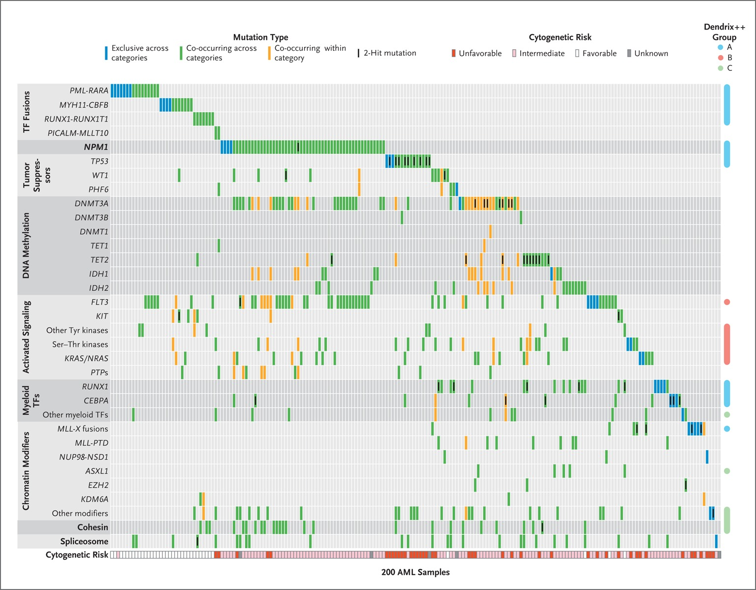 Organization of Mutations into Categories of Related Genes.