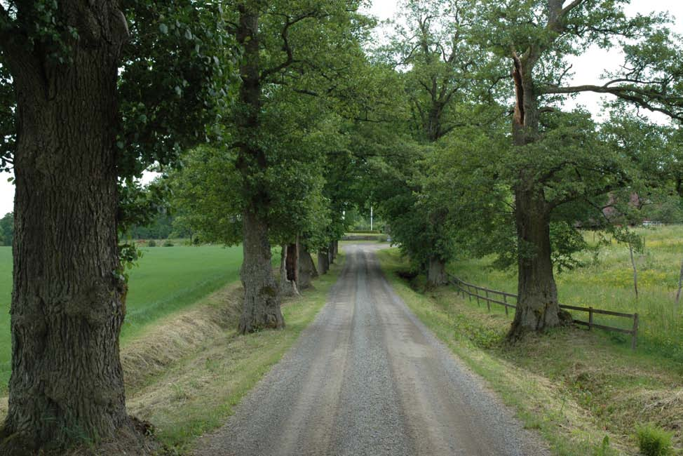 Rödlistan Rödlistan upprättas av ArtDatabanken vid SLU i Uppsala. Rödlistan uppdateras vart femte år och den senaste versionen släpptes under våren 2005 (Gärdenfors 2005).