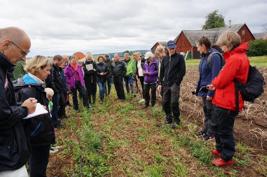 Hur gick snacket på fältvandringarna? Eva Gustavsson, Solsyran, Orsa Hur lång tid får det ta? Kostnad kontra nyttan av biodiversitetsåtgärderna?