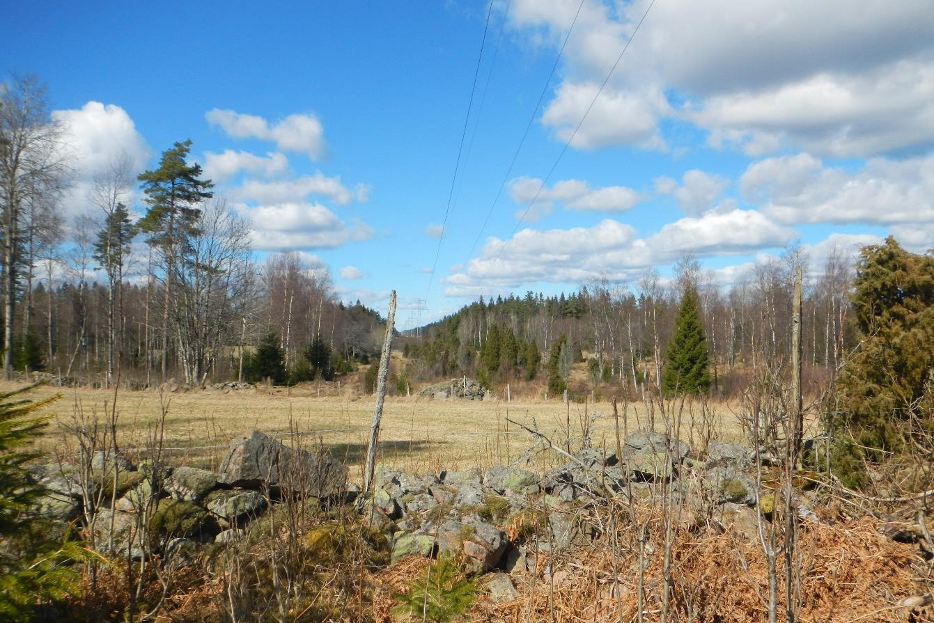 4.1 Landskapsbild Området mellan Bredhälla och Horshaga utgörs huvudsakligen av skogsmark med inslag av våtmarker/sumpskogar samt fossila åkrar med stenrösen och stenmurar (se exempel på stenmur i