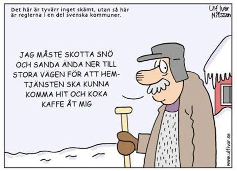 Golvgymnastiken! Liselott Sjöstedt är vår ledare för gymnastiken. Hon håller oss igång och det är många nya muskler som får sin välförtjänta träning.