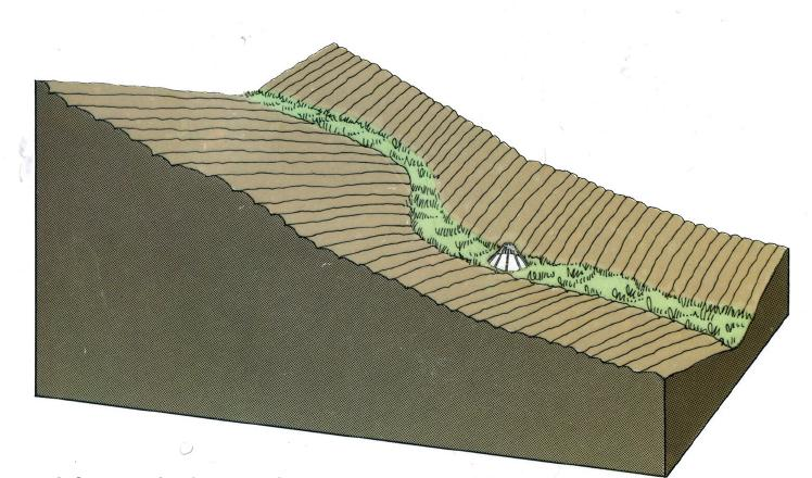 Exempel på utformning av åtgärder Kring ytvattenbrunn Permanets vall/lämna stubb i erosionskänsliga