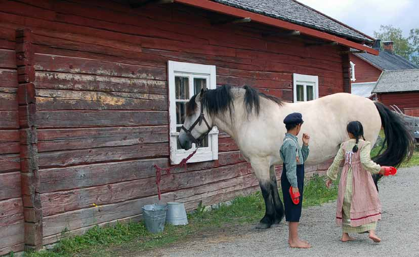 Särskilt boende Vid särskilt boende bor personer i olika åldrar som har omfattande behov av stöd och omsorg. Östersunds kommun har 24 särskilda boenden med 670 lägenheter.