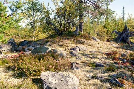 Figur 5. De registrerade bildningarna (a) AC057 och (b) AC060. Foto: P2005:15Z:14 och 15. Tännäs riksintresse Byn Tännäs utgör riksintresse för kulturmiljövården (Z65). Det är bl.a. kyrkbyn på fjällsluttningarna och Sveriges högst belägna kyrka uppförd år 1672 som bildar bakgrund för klassificeringen.