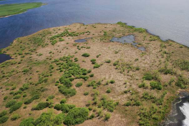 Foto 2. Vy över Harön vid flyginventeringen 5 maj, 2004.