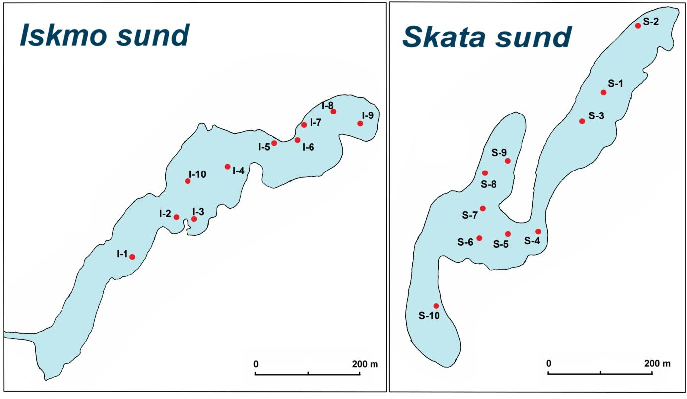 2 Bägge sjöarna är grunda och stora ytor av sjöarna vattenyta täcks av flytbladsvegetation, främst gäddnate (Potomogeton natans).
