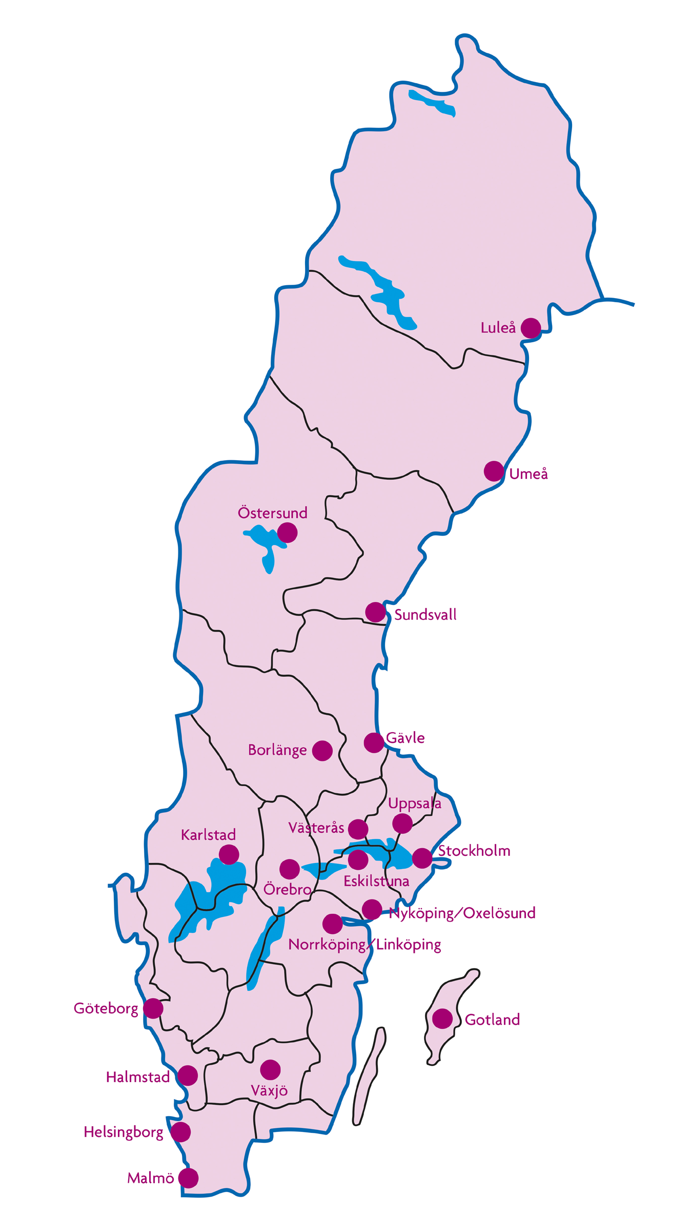 Organisation Föreningens främsta resurs är de människor som engagerar sig i Frisk & Fri.