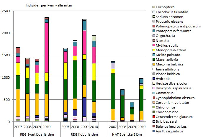 Bilaga 3. Individtäthet per m 2 och artfördelning alla arter Figur B. Individer per m 2 för alla arter.