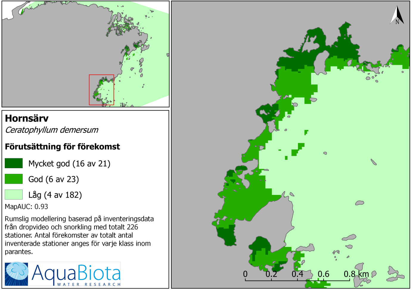 Figur 13. Förekomst av hornsärv i de 226 stationerna från dropvideo och snorkling Figur 14. Modellerad förutsättning för förekomst av Hornsärv.