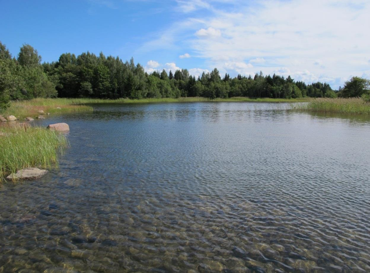 Figur 33. Ortofoto som visar alla laguntyper, där den stegvisa förändringen av en lagun kan ses (1-4). Inklippt bild illustrerar den teoretiska förändringen från flada till glo (1-4).