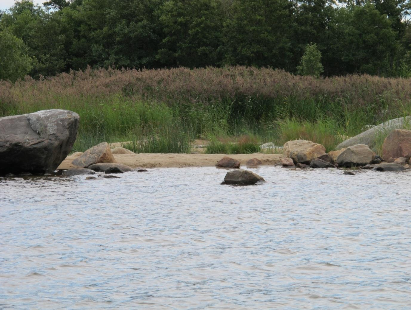 Natura 2000 habitatet 1140, blottade ler- och sandbottnar. Bild tagen vid Långsandsörarna.