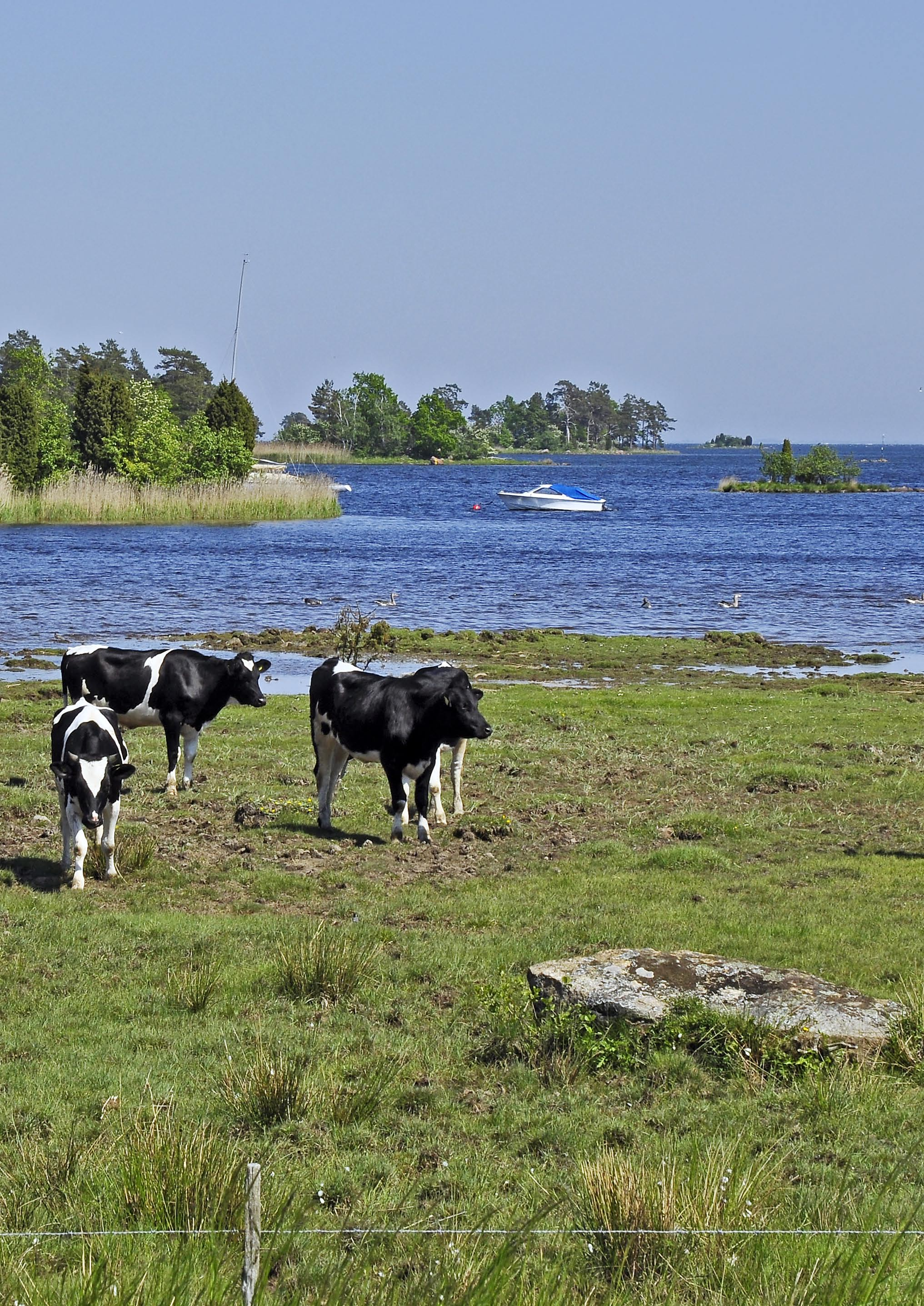 KUSTVATTEN MILJÖRAPPORT FÖR 29 FRÅN