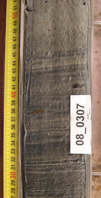 Mer näring i bottensedimenten Sveriges geologiska undersökning, GU, har under drygt 2 år gjort miljökemiska undersökningar längs länets kust mellan Kalmar och Loftahammar.
