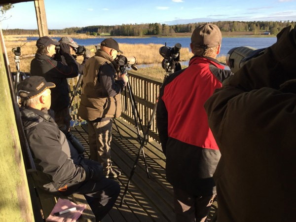 Vårens tisdagsexkursioner (samling sker vid Ålsjöparkeringen kl.