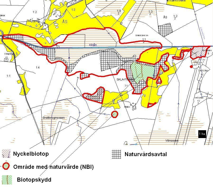 Figur 5. Exempel på objektkarta med objektets avgränsning redovisad med röd heldragen linje.