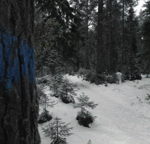 JAKT Fastigheten ingår enligt uppgift av Länsstyrelsen ej i något Viltvårdsområde.