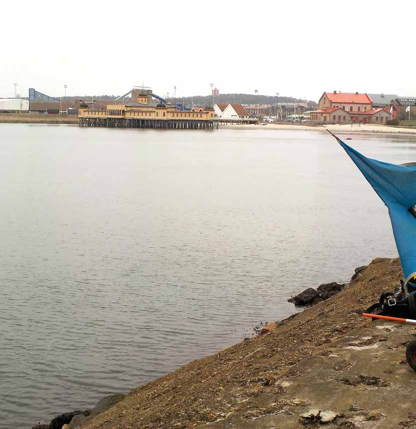 Vid foten av fästningen 5 Figur 2. Utredningsområdet mot ostnordost med Varbergs kallbadhus i bakgrunden.