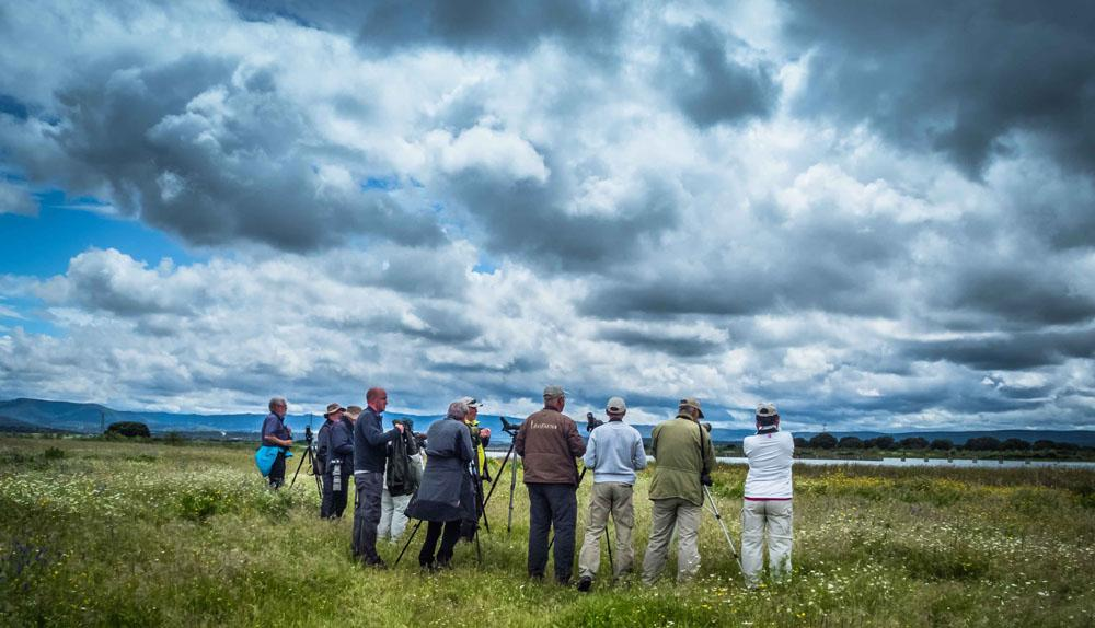 Skådning vid Embalse Arrocampo. Mörka moln präglade resan. Foto: Astrid Sivertsen INLEDNING Årets majresa med Guldkant till centrala Spanien blev en rätt så blöt upplevelse.