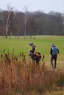 Bild 1. Myntfläck på putting green, Korsör Golfklubb, Danmark. September 2014. Fläckarna är ljusa, halmfärgade till vita och torra. De är ofta nedsjunkna i förhållande till resten av gräsmattan.