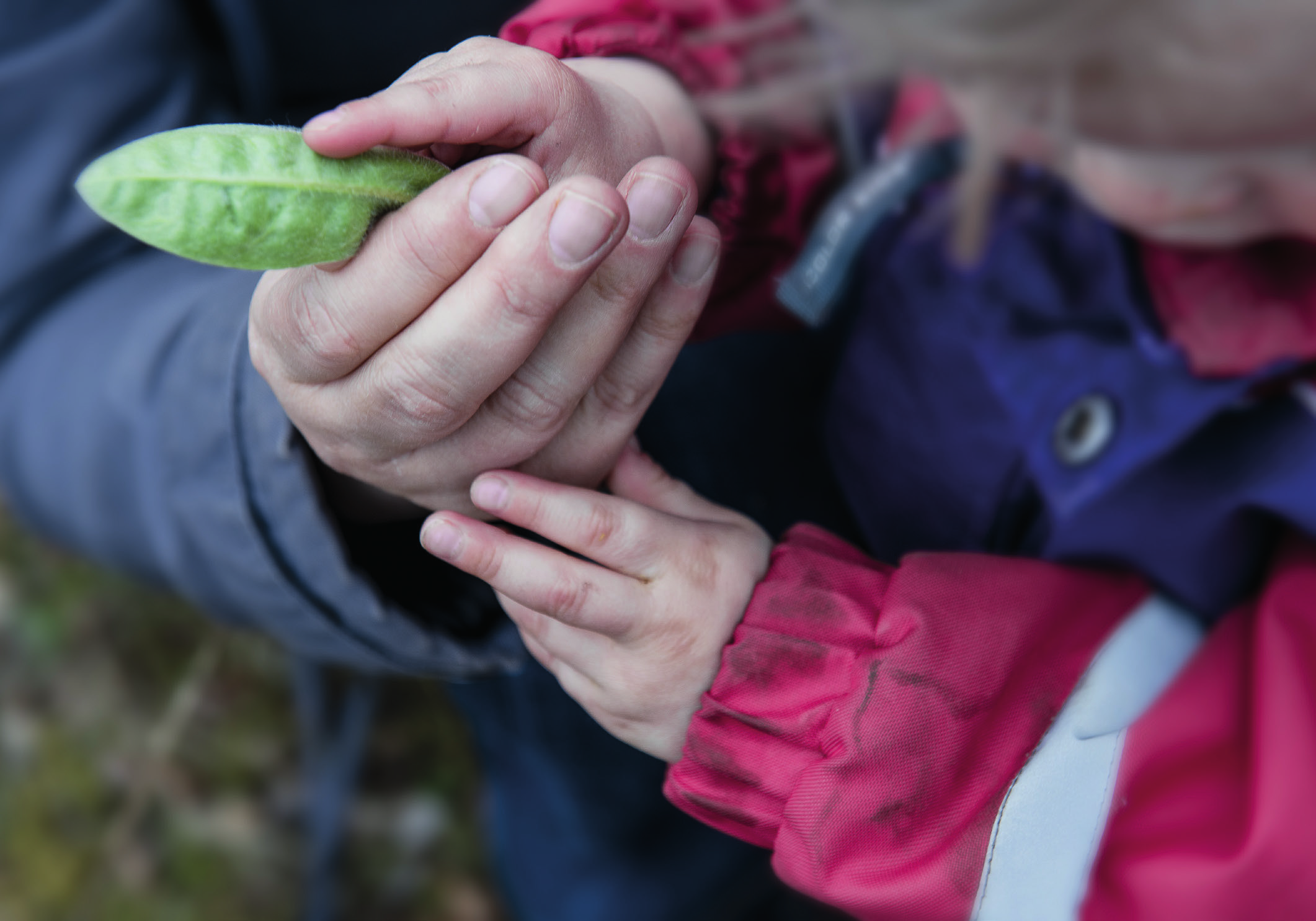 Personer med medfödd/tidig dövblindhet Hur kan vi