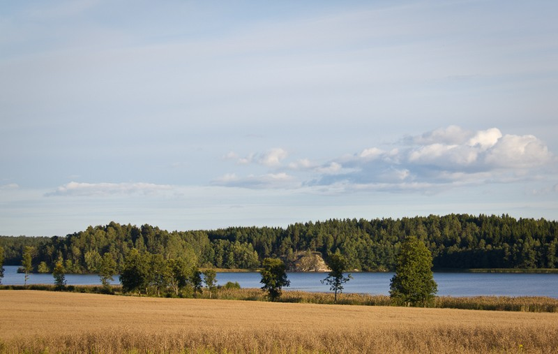 Gå långt