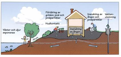 Konceptuell modell En konceptuell modell är grunden för allt arbete med förorenade områden, från provtagning till riskbedömning och åtgärder. Måste finnas med!