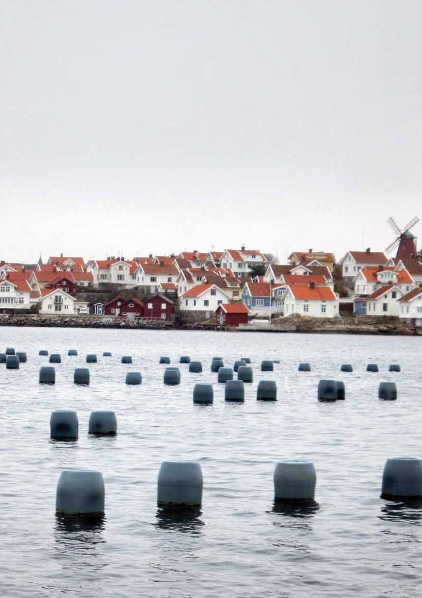 Hållbar utveckling handlar om en utveckling som till - godoser dagens behov utan att äventyra kommande generationers möjligheter att tillgodose sina behov.