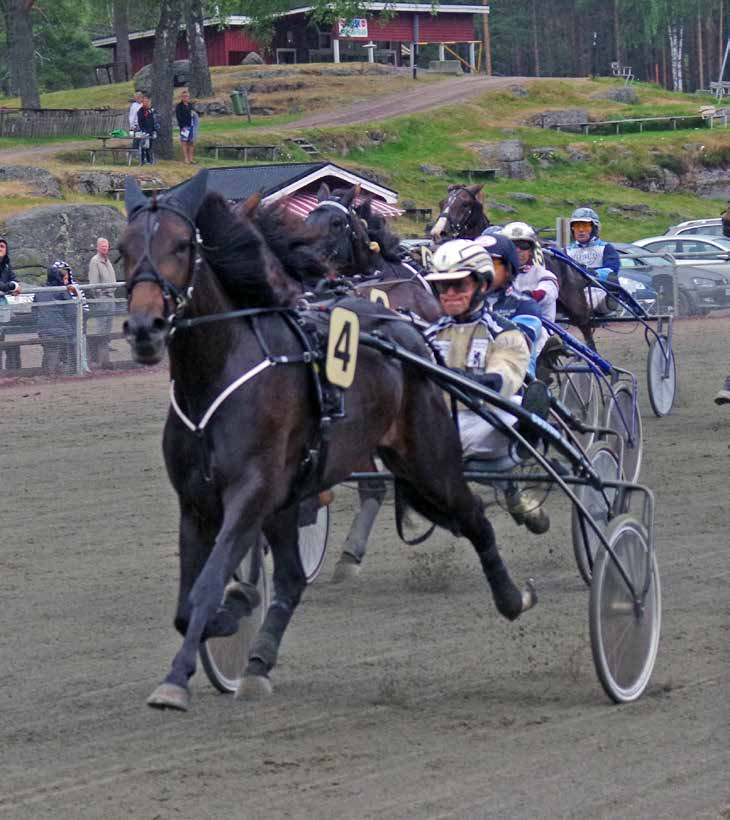 STALL Magnus Jakobsson Nytorp nytt