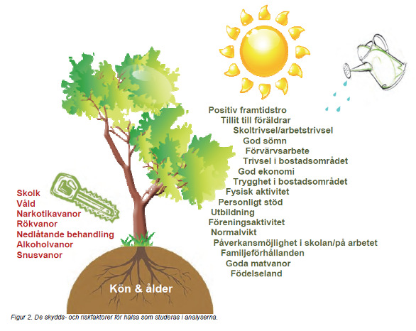 Hälsans skyddsfaktorer ur ett jämlikhetsperspektiv Skydds- och riskfaktorer Inom det förebyggande folkhälsoarbetet finns två nyckelbegrepp, nämligen skydds- respektive riskfaktorer.