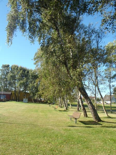 GRÖNOMRÅDE 22 Fastighet(er): Åmot 2:256, 1:100, 1:79 och 1:102, norr om Rombergs väg, väster om Kustvägen, öster om Sibyllavägen, nära stranden. Storlek: ca. 0,9 hektar.