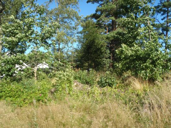GRÖNOMRÅDE 40 Fastighet(er): Västra Mellby 8:1 och Mellby 6:20, norr om Hilders väg, öster om Blåbärsvägen, väster om E6. Storlek: ca. 1,4 hektar. Bebyggelse möjlig, om vissa åtgärder vidtas.