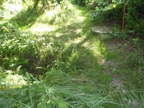 GRÖNOMRÅDE 76 Fastighet(er): Mellby s:36 och 16:1, norr om Sjöfågelvägen, söder om Mellbyvägen, väster om Kustvägen, nära stranden. Storlek: ca. 2,5 hektar.