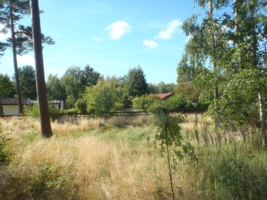 GRÖNOMRÅDE 80 Fastighet(er): Mellby 1:81, söder om Sjöfågelvägen, norr om Brodds väg. Storlek: ca. 1,2 hektar.