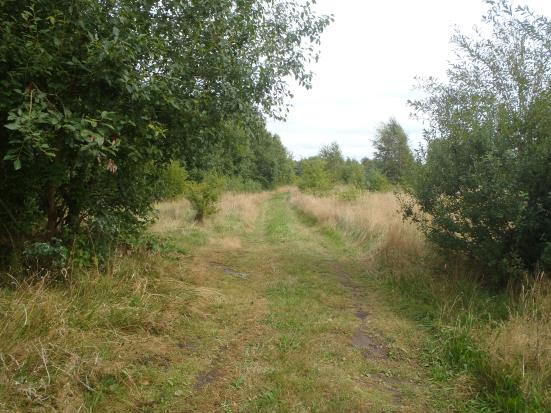 GRÖNOMRÅDE 181 Fastighet(er): Skummeslöv 3:10, öster om Barrvägen. Storlek: ca. 9,3 hektar. En del av området kan bebyggas, om vissa åtgärder vidtas.