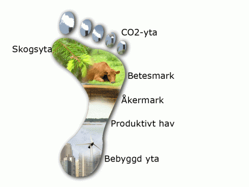 Ekologiskt fotavtryck = de naturresurser vi använder 1.