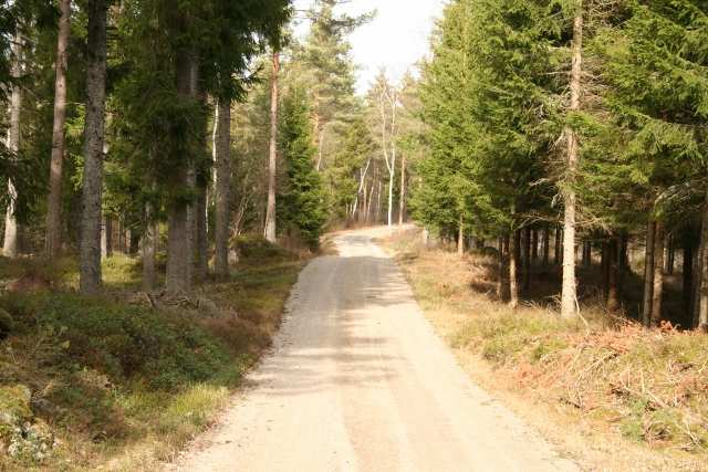 Skogsfastighet väster om Lönashult Välskött skogsfastighet om 53 ha varav 50 ha skogsmark belägen väster om Lönashult. Jaktstuga kombinerad med verkstad och garage.