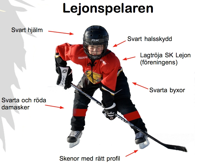 Kläder för ledare/tränare/spelare SK Lejon förespråkar att man som ledare/tränare under träningar, matcher och övriga sammankomster med laget skall bära kläder med SK Lejons logga.