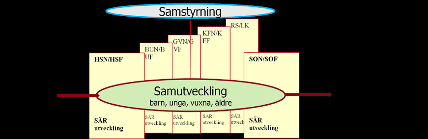 En framgångsfaktor har varit att det tidigt skapades en gemensam, samordnad ledningsstruktur på alla nivåer inklusive den politiska nivån ett gemensamt AU. Projektet upphör vid årsskiftet 2014 2015.