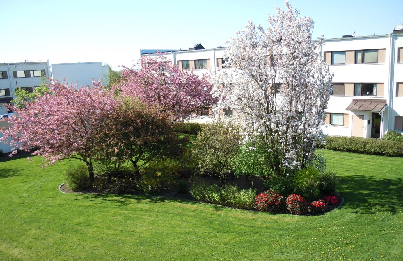 ÅRSREDOVISNING 2015 HSB
